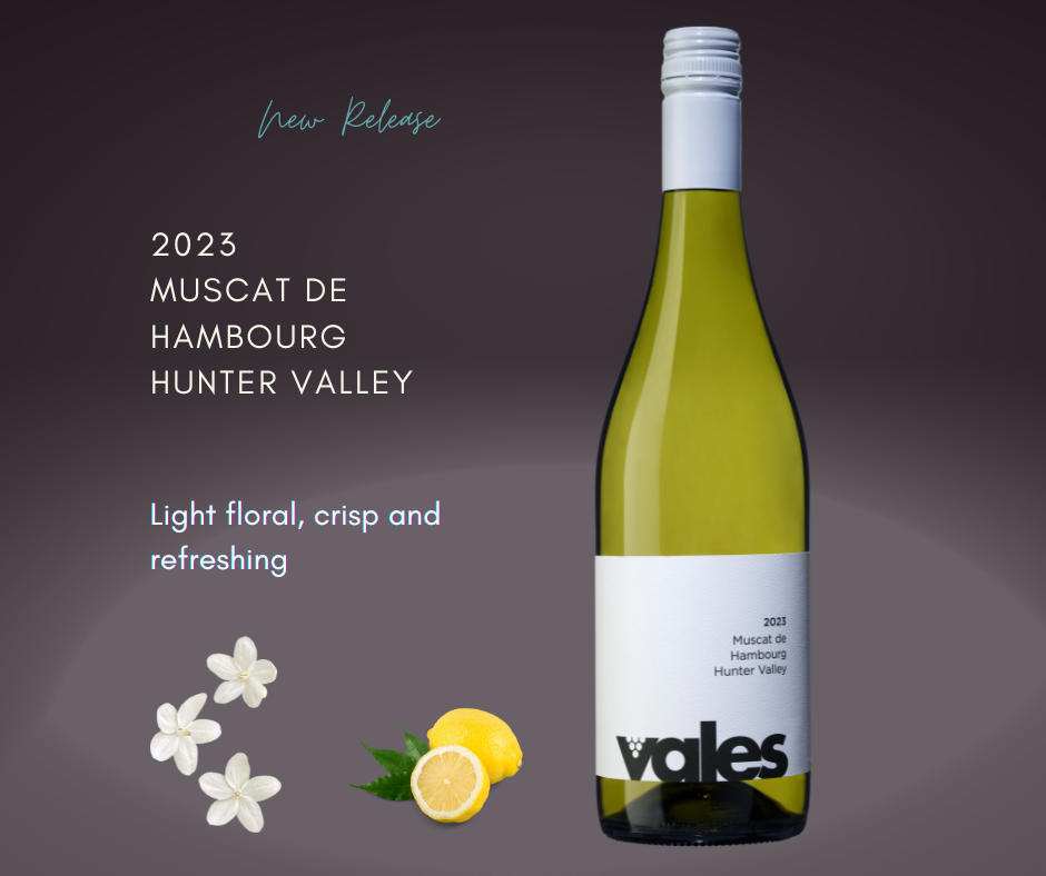 New Release - 2023 Muscat de Hambourg, Hunter Valley